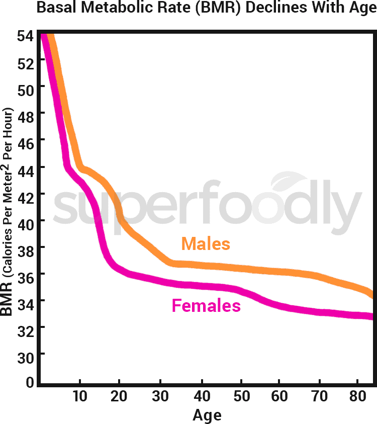 basal metabolic rate chart - Keski