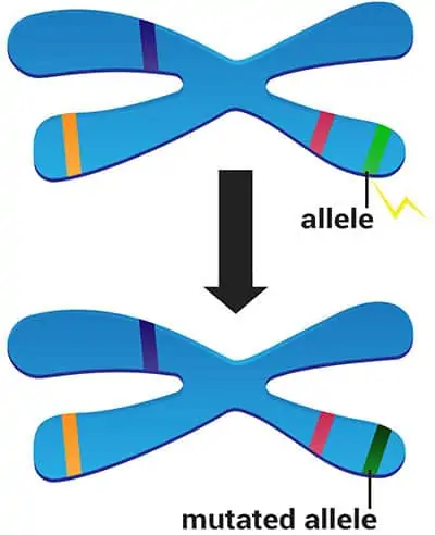 DNA mutation graphic