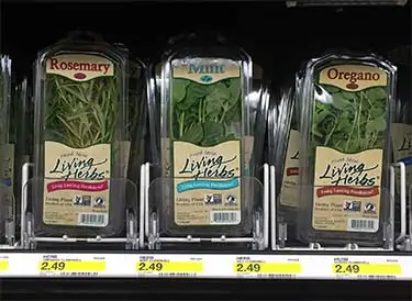 Fresh vs. Dried Herbs: What's Healthier? Not What You Think - Superfoodly