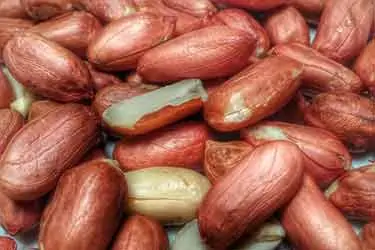 raw peanuts with red skin