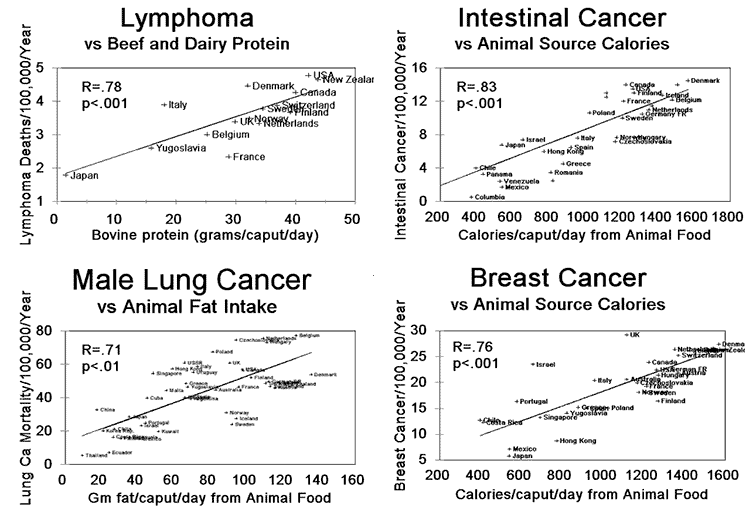 charts showing correlation between meat/dairy and cancer rates