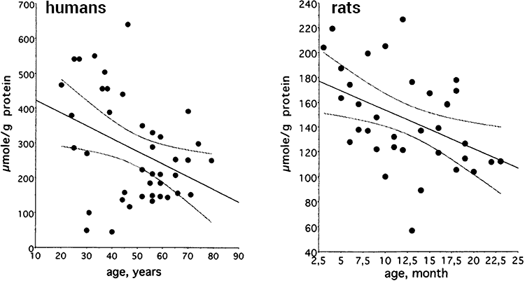 graphs of carnosine decline by age