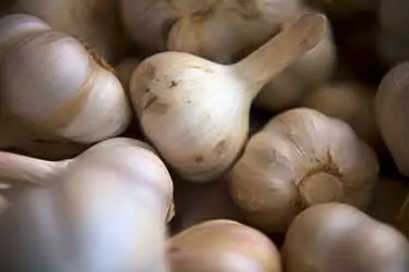 whole garlic