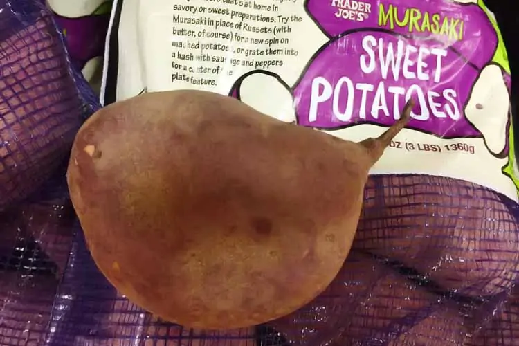 Japanese sweet potato from Trader Joe's