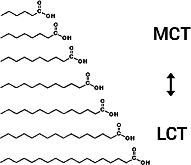 sizes of MCT vs. LCT lipids