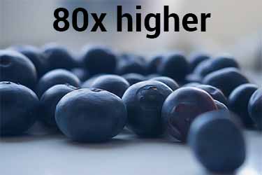 blueberry vs. myrrh antioxidant power