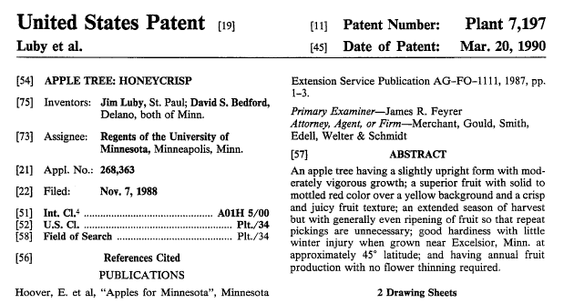 U.S. plant patent #7197 for honeycrisp