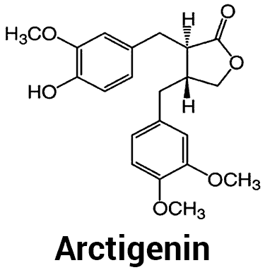 chemical structure of arctigenin molecule