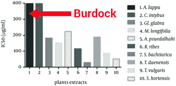 IC50 for burdock root on cancer proliferation