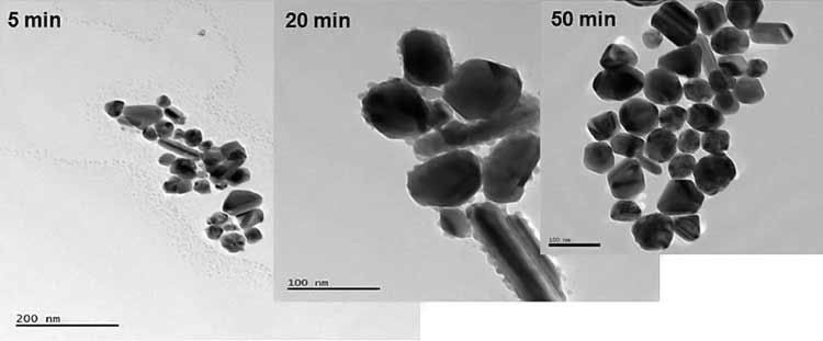 silver nanoparticles under microscope