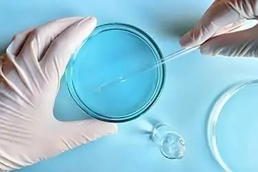 scientist conducting experiment in Petri dish