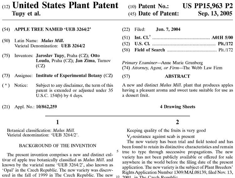 https://superfoodly.com/wp-content/uploads/2017/06/opal-patent.png