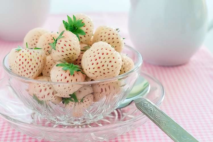 bowl of white strawberries (hula berries)