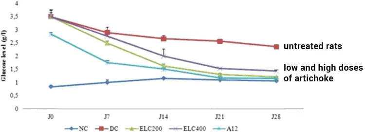 chart of blood sugar levels in diabetic rats treated with artichoke extract