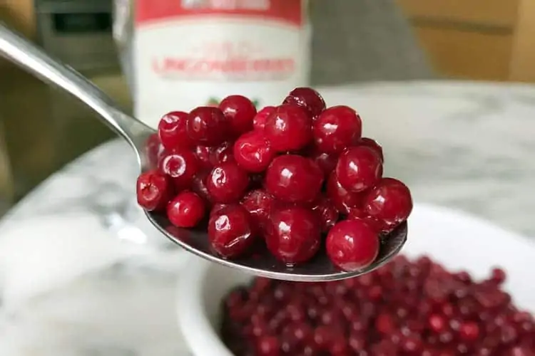 fresh lingonberries on spoon