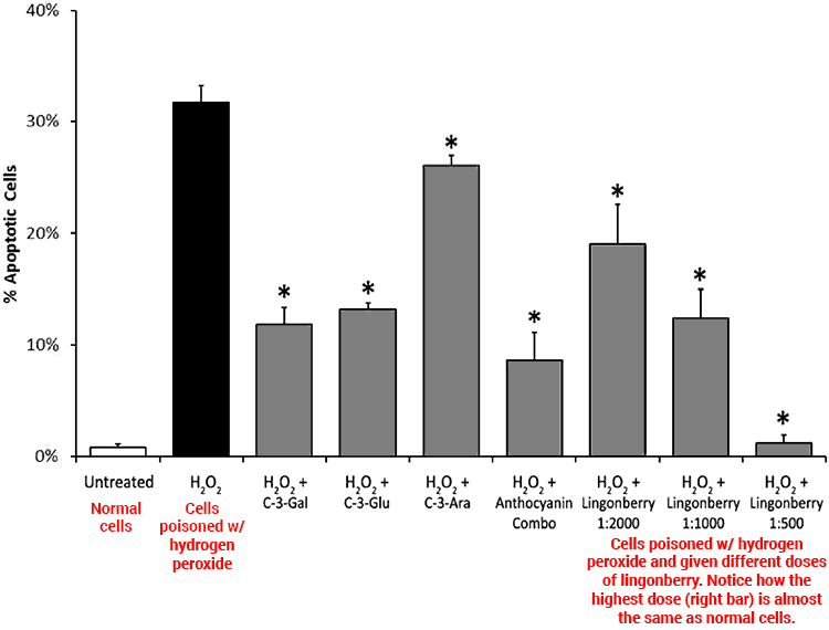 heart benefits of lingonberries when exposed to oxidative stressors