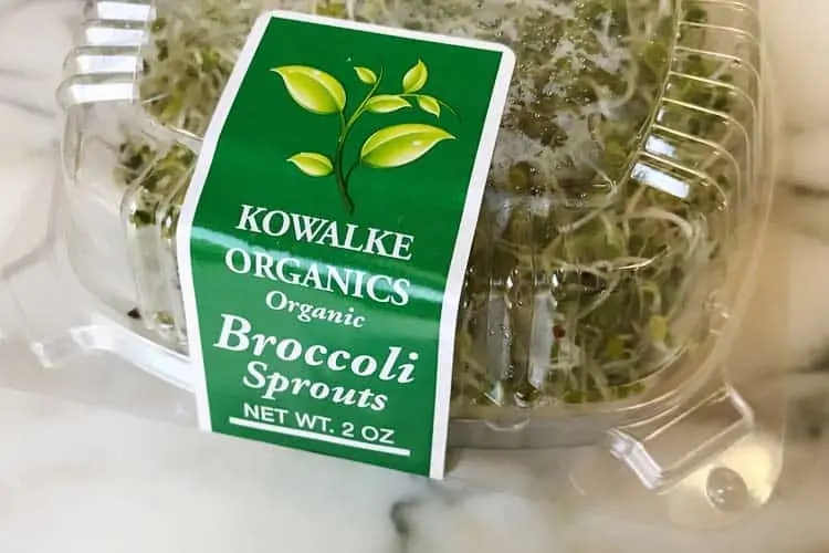 fresh organic broccoli sprouts