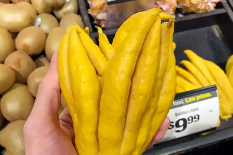 What Is Buddha's Hand Fruit & How Do You Eat It