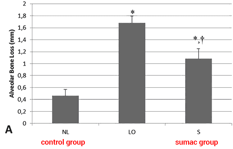 graph of bone loss with and without sumac berry treatment in rats