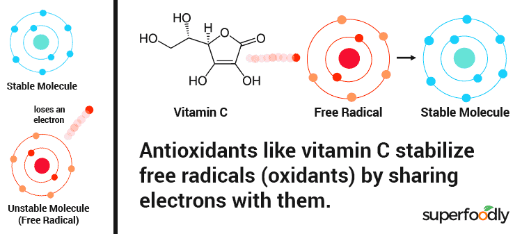 diagram showing how antioxidants work