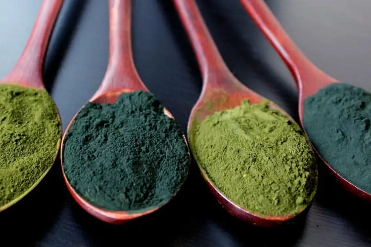 spoons of spirulina and chlorella powder