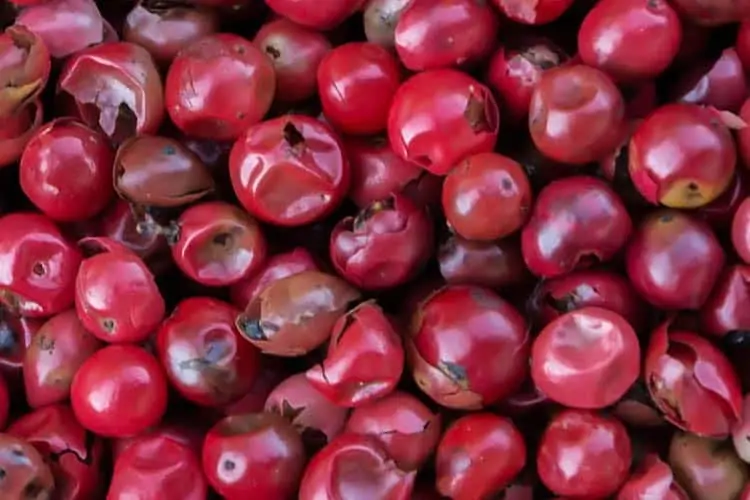 What Is Pink Peppercorn? Not Pepper, But Taste With Toxicity Superfoodly