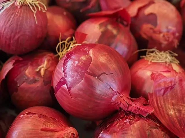 Unveiling the Health Benefits of Onions for Men Superfoodly